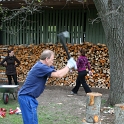 IMG_5341