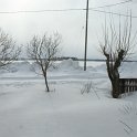IMG_4853