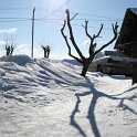 IMG_4860