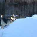 IMG_4866