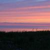 IMG_1505