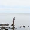 IMG_1586