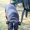 IMG_1635