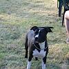 IMG_1637
