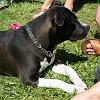 IMG_1702